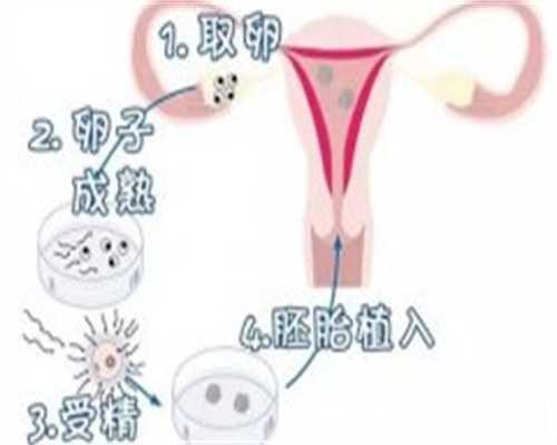 (a)专业代孕中心,香港供卵试管婴儿医院百科全书，手续费成功率详解