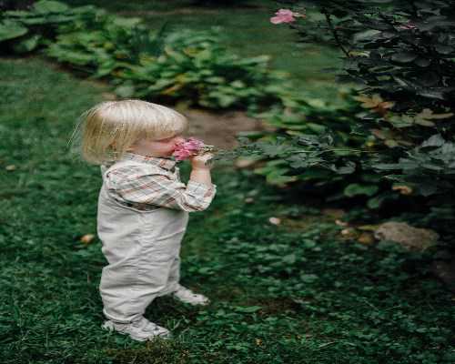 重庆专业借卵,重庆华西医院可以做试管吗？