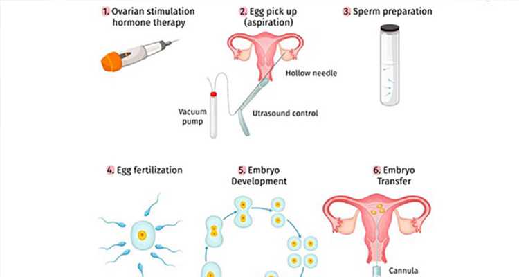 找代怀妈妈_代怀价格费用,试管移植第十二天测出弱阳,还是要流产？正常试管失