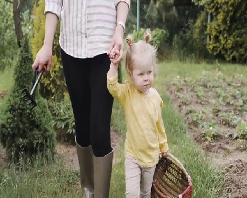 (a)代孕中介哪家靠谱,2026银川市妇幼保健院供卵试管费用一览，附试管费用明细