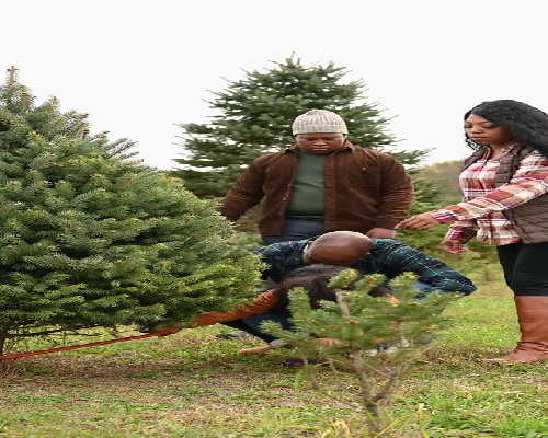 重庆代生儿子花费,重庆试管双胞胎可不可以决定性别？可以选择性别吗？-梗阻